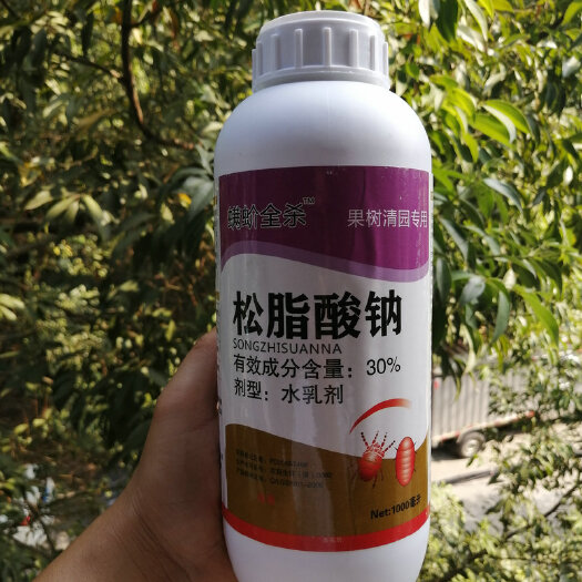 桂林果树农药生物杀虫剂30%松脂酸钠蚧壳虫红蜘蛛蚜虫木虱