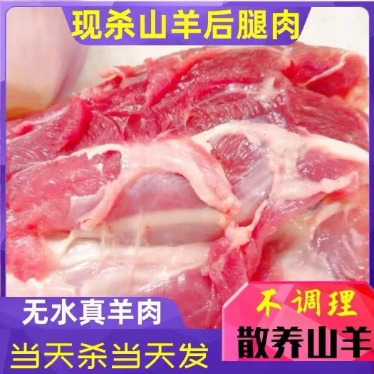 福州新鲜去骨去油羊腿肉散养山羊肉微调理火锅烧烤现宰现发羔羊肉料包