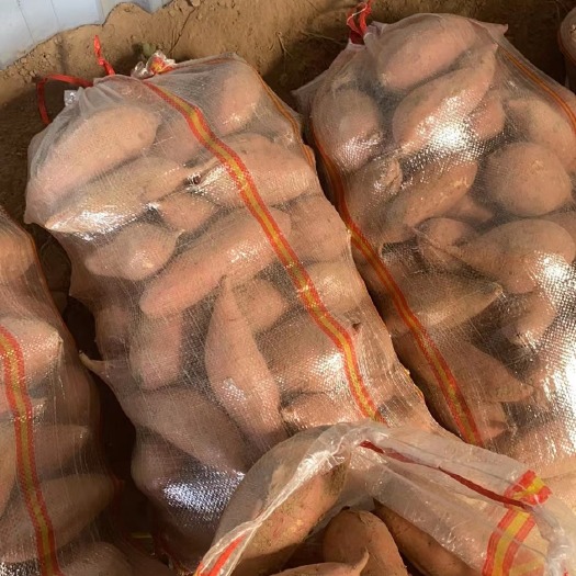 宜城市【龙九红薯】产地直供优质龙薯九号，支持多种包装 红皮黄心蜜薯