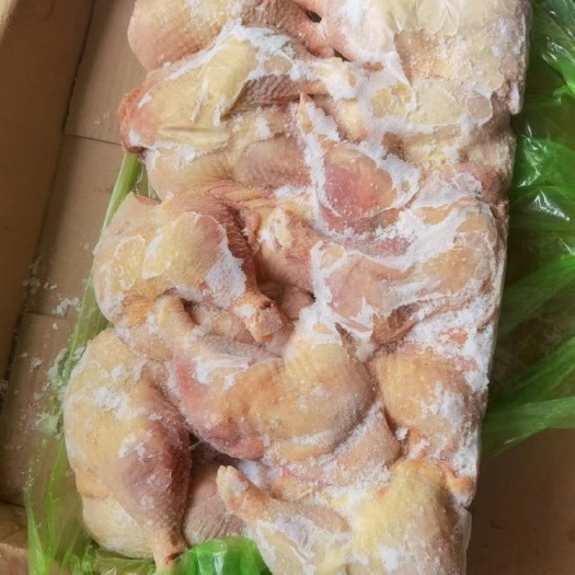莘县老鸡排腿（二级淤血）