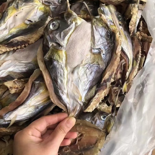 南澳县乖鱼干也叫河豚干真正的美味超新鲜十足干炖火锅汤底烧烤也好
