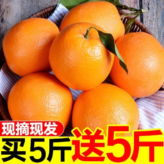 9斤橙子江西赣南脐橙新鲜应季水果现摘现发薄皮整箱批发手剁甜