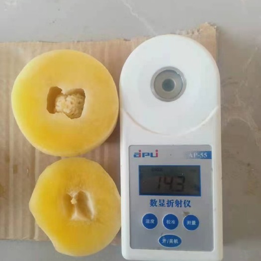 石林县石林火岩人参果