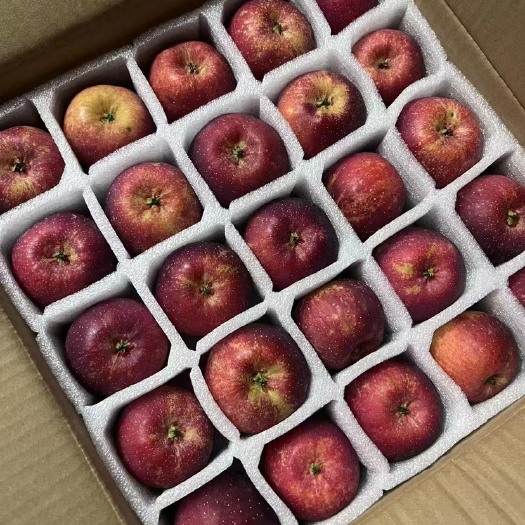 临江市龙峰果，口感脆甜 皮薄 果味浓厚 耐储存！支持批发、一件代。