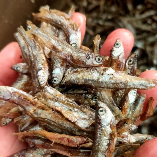 玉林油炸小白条