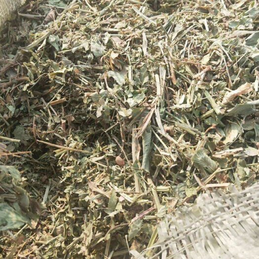 正阳县花生秧，牛羊草料，一级纯绿