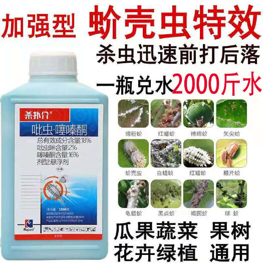 潍坊蚧壳虫介壳虫吡虫噻嗪酮专用果树柑橘花卉农药杀虫剂柑橘蚧壳