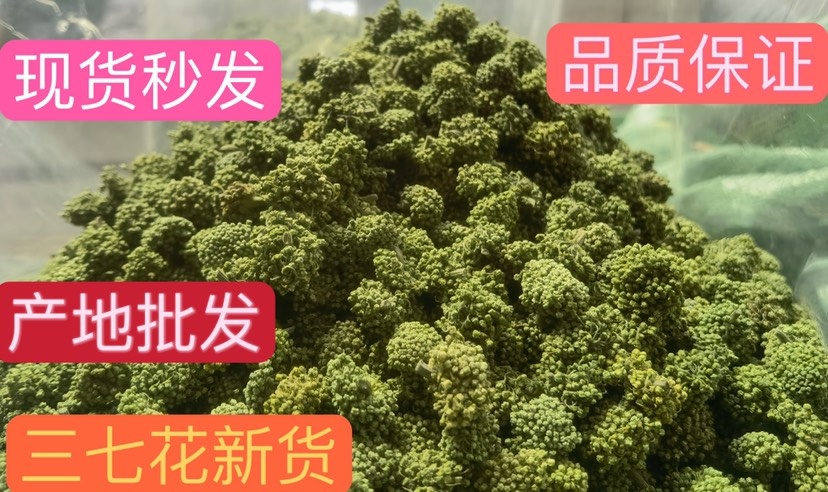 文山三七花花三年花一首货源批发一件代发包邮