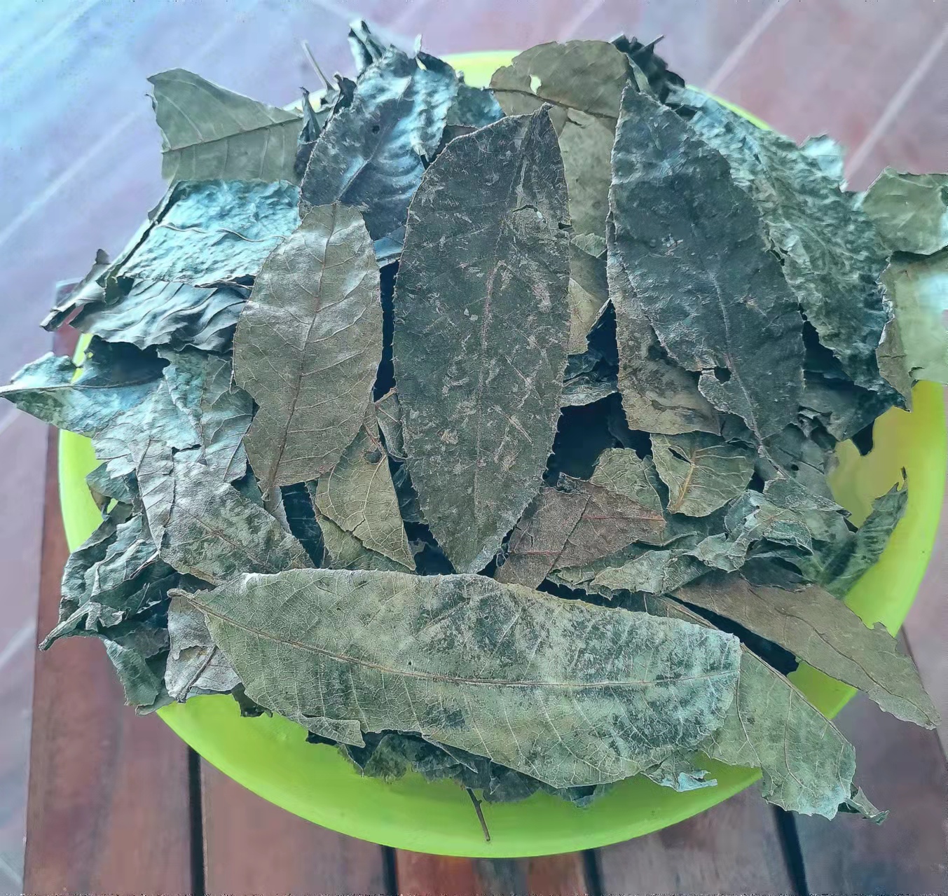 隆林各族自治县青钱柳，千年古树叶，尿酸茶