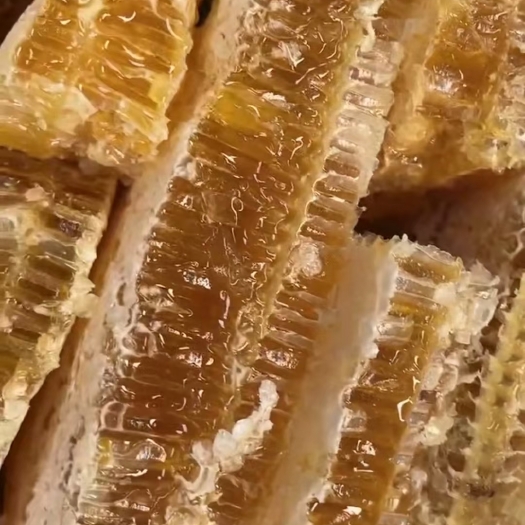 成都农家土蜂蜜，现割现发，大量到货，火爆产品