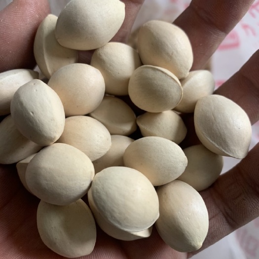 邳州市银杏果白果