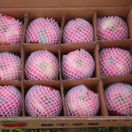 静宁水晶红富士上市了