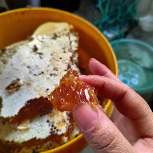南漳县土蜂蜜