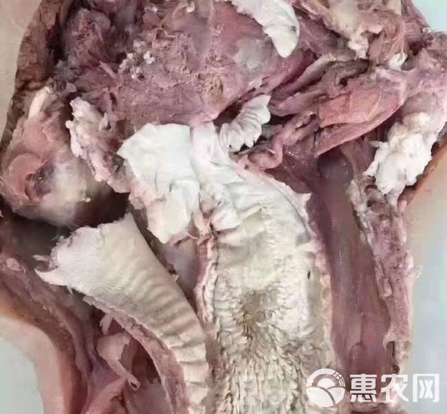 牛头肉