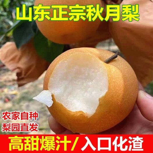 【一件代发】山东秋月梨爽脆甜多汁皮薄肉厚现摘新鲜水果整箱包邮