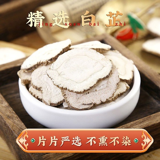 亳州白芷片 中药材白芷片 特级大片 干货白芷片