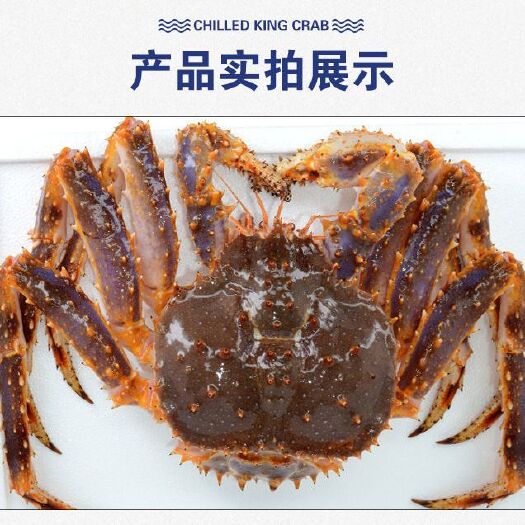 上海冰鲜帝王蟹
