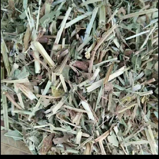 正阳县花生秧