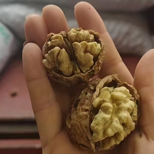 成都云南薄皮麻子核桃，一件50斤，现货供应，下单秒发