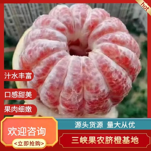 蜜柚 红心蜜柚 白心蜜柚 果体光滑明亮 果肉细嫩甜蜜