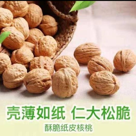 阿克苏市供应新疆阿克苏纸皮核桃