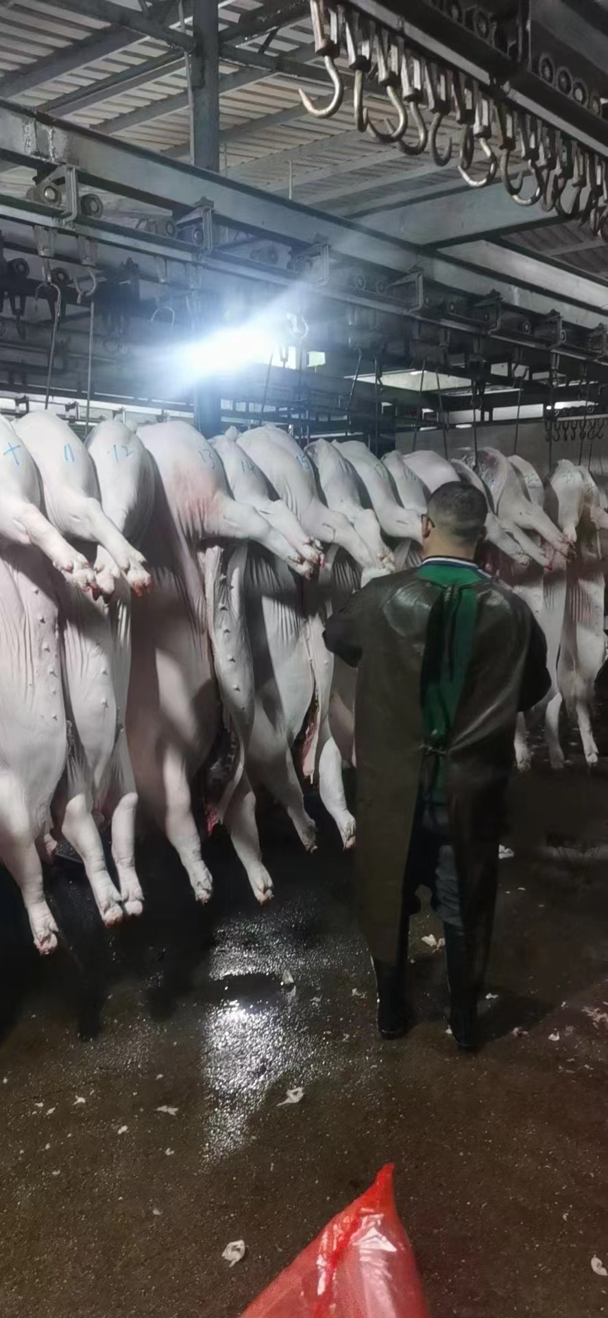 白肉 现杀现批
