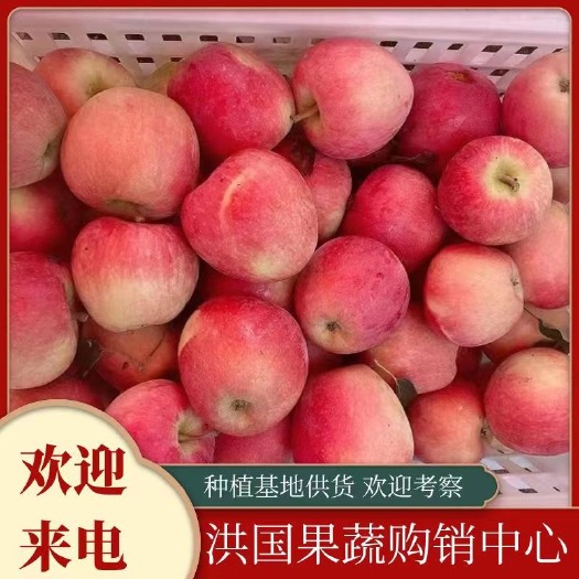 红富士苹果上市，口感脆甜，保质保量