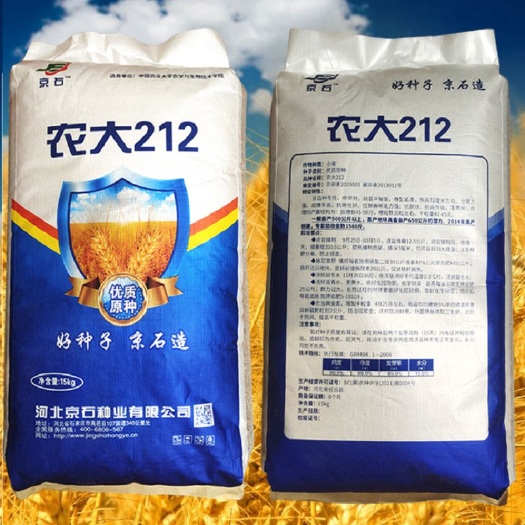 孟村县双国审农大212优质小麦种子高产冬小麦原种矮秆抗倒大穗原种