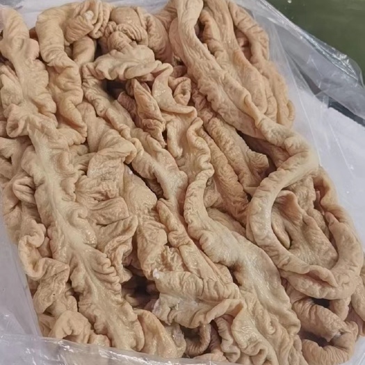 大肠【猪大肠】,厂家供应,品质保证,货源充足!!