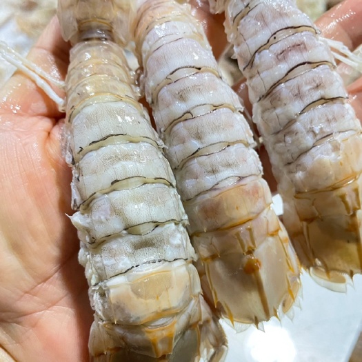 北海活煮熟冻皮皮虾，现货有量欢迎商谈