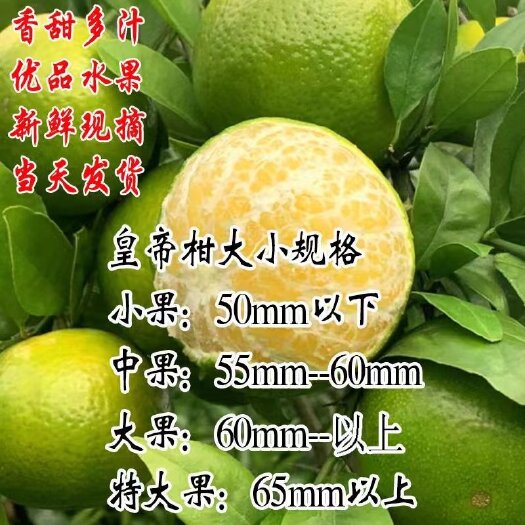 平南县广西平南皇帝柑大量供，纯甜化渣，耐储存