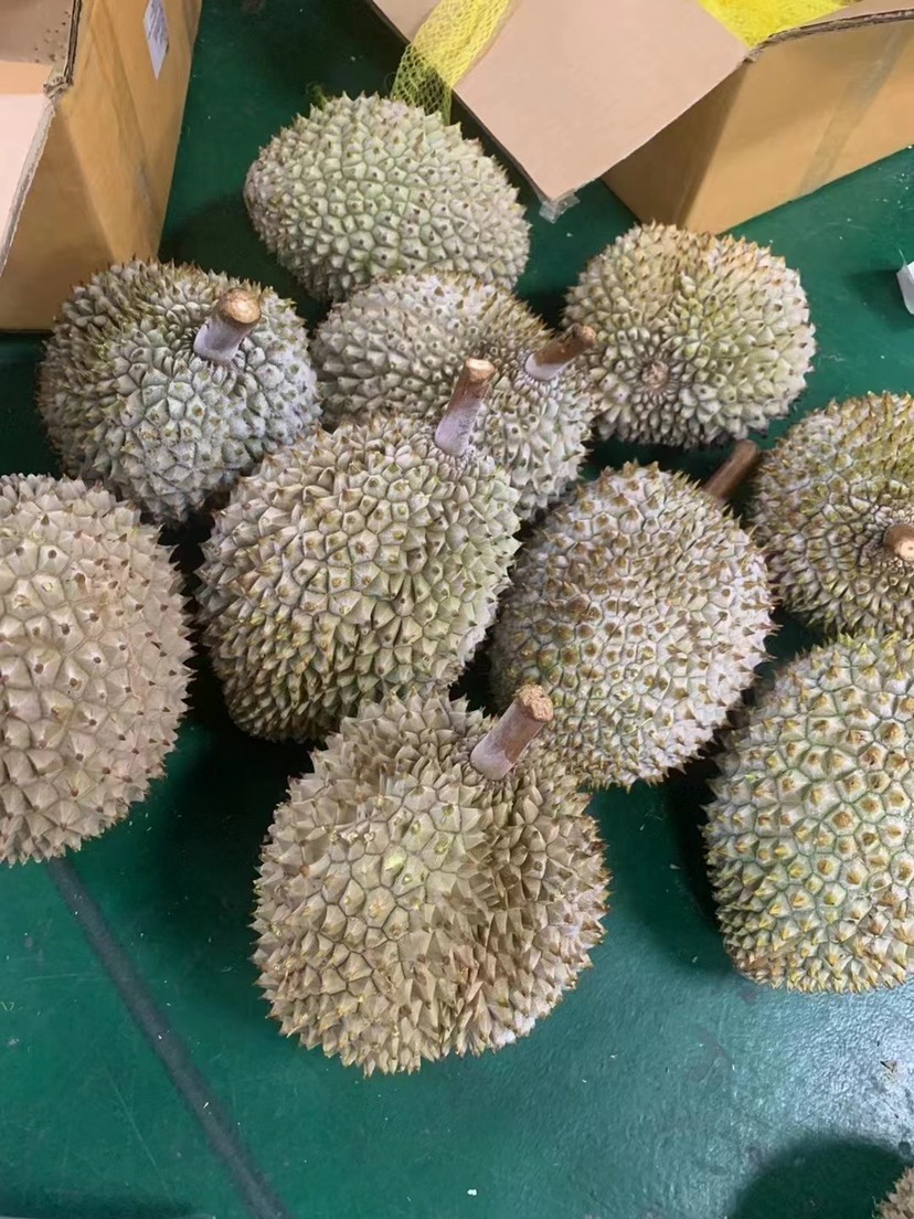 广州泰国树熟液氮干尧榴莲顺丰包邮支持代发电商团购微商包售后