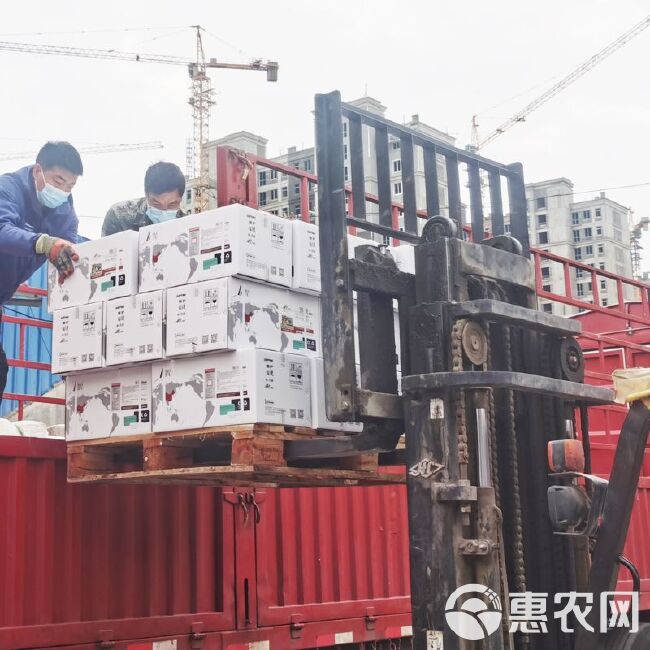 酶解鱼蛋白水溶肥料生根肥生根剂冲施肥强力生根鱼肥深海鱼蛋白