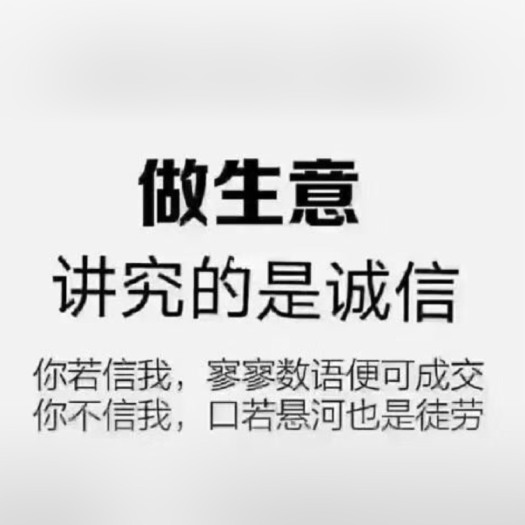 嘉祥县柯基