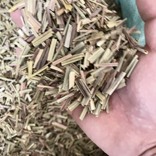 香茅草