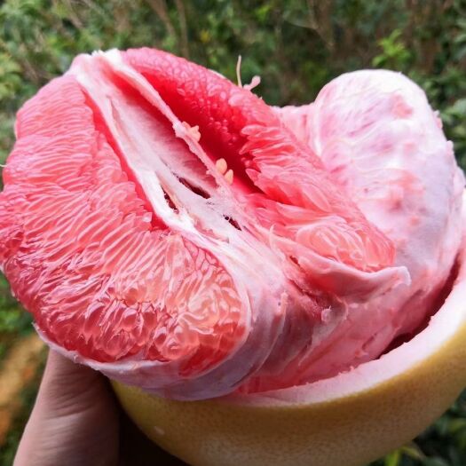 严选蜜柚，红心柚，品种齐全，质量杠杠滴，电商市场，果大量供
