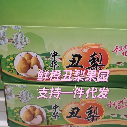 赵县中华丑梨吃软不吃硬丑梨