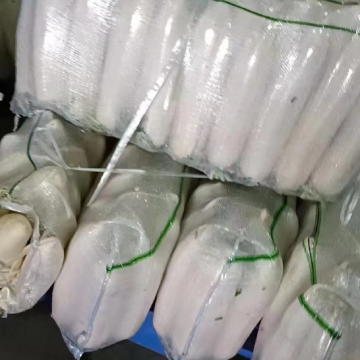 天门市萝卜白萝卜大量上市，产地直发，支持全国发货，欢迎来电