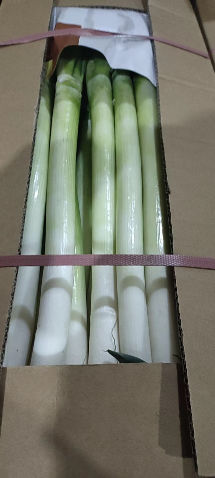 福建大葱，新货开始，可包地，可代购，代发，物美价廉，量大从优