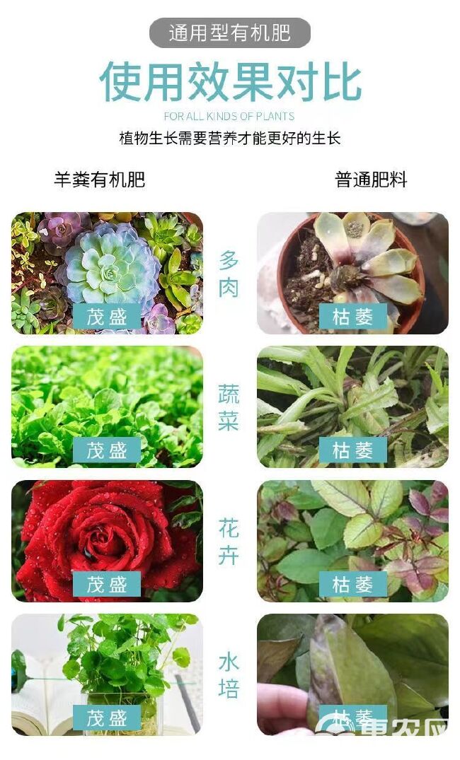 纯鸡粪发酵肥料 10斤