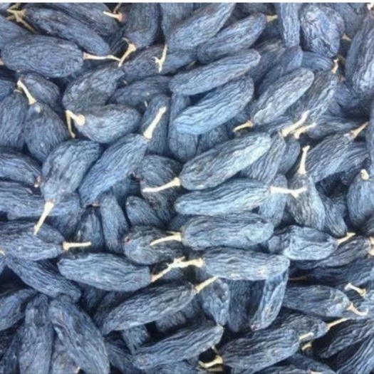 昆明特级果中高端出口葡萄干 产自乌兹别克斯坦 美人指 黑加仑