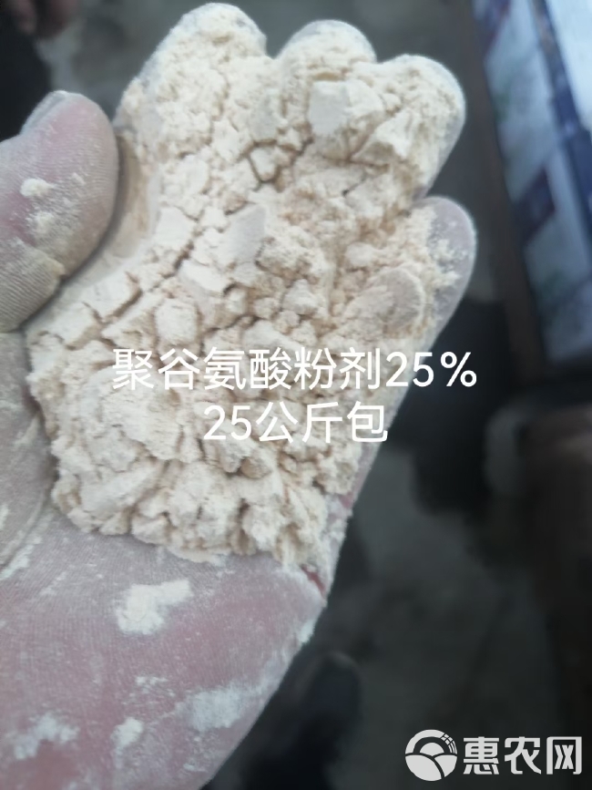 25公斤/袋量大电联聚谷氨酸粉剂25%鱼蛋白粉75%味道好