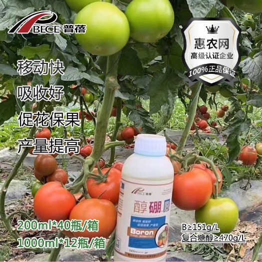 寿光市硼肥促花保果微量元素肥叶面肥糖醇硼水溶肥微肥冲施肥
