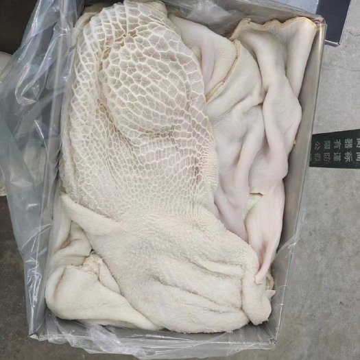 阳信县半成品牛肚国产牛肚纯干水煮新鲜无碱发大量批发