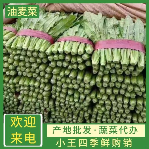邯郸青油麦