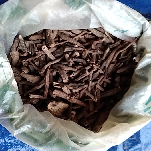 雷州市补骨脂