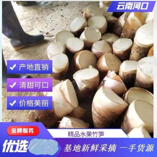 河口县云南高山甜竹笋，新鲜水果竹笋  质量保证，一件代发