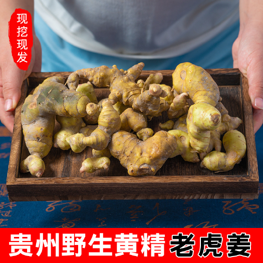 紫云县贵州黄精老虎姜大黄精鸡头黄精九蒸九晒滋补中药材现挖现发