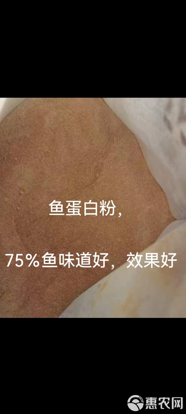 25公斤/袋量大电联聚谷氨酸粉剂25%鱼蛋白粉75%味道好