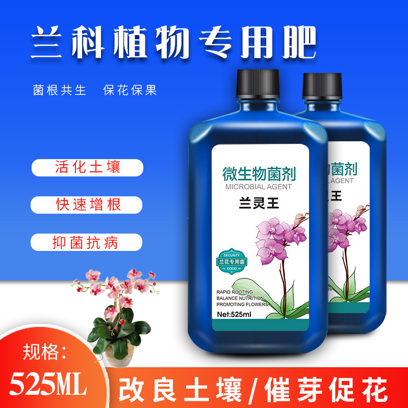 长沙兰灵王兰花专用君子兰专用营养液家庭园艺兰花兰科植物通用绿植盆